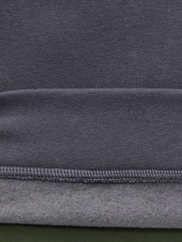 PIECES Sweatshirt 'Chilli' in Grau