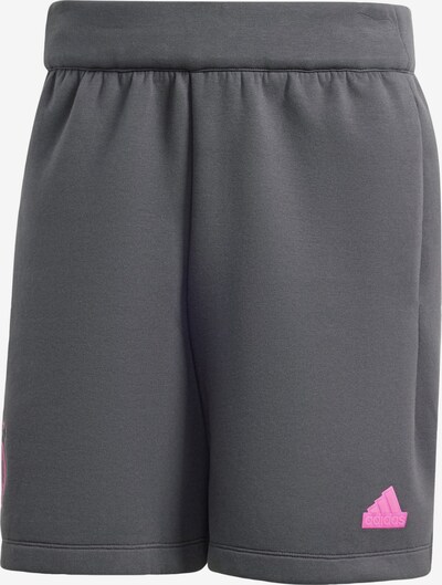 ADIDAS PERFORMANCE Sportske hlače 'DFB' u siva / roza / bijela, Pregled proizvoda