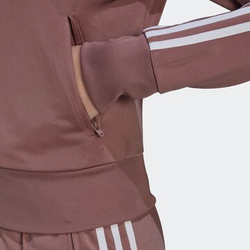 ADIDAS ORIGINALS Bluza rozpinana 'Adicolor Classics Firebird Primeblue' w kolorze fioletowy