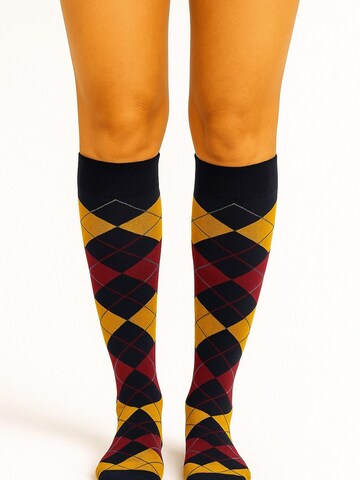 Lycille Kniestrümpfe in Blau: Vorderseite