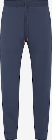 Pantalon de sport ' Lomond Lite ' Born Living Yoga en bleu : devant