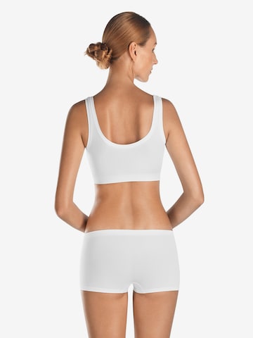 Bustier Soutien-gorge ' Touch Feeling ' Hanro en blanc