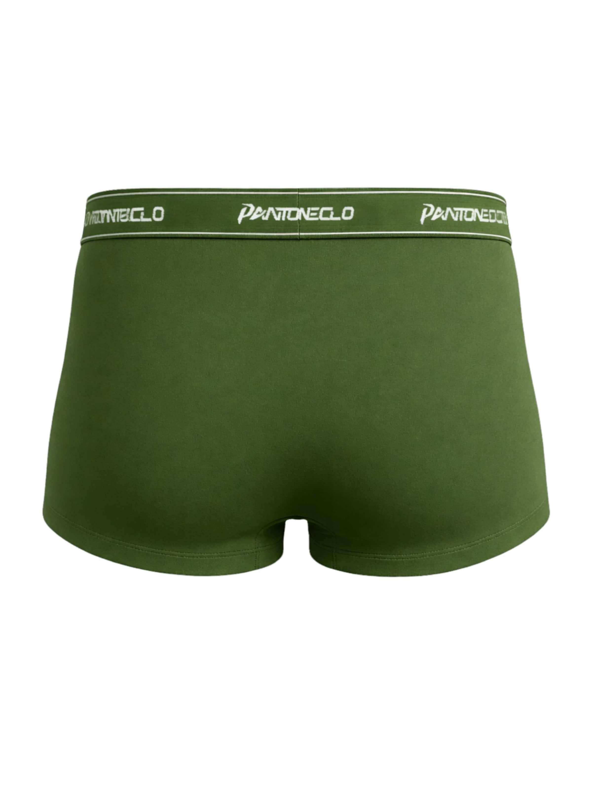 PANTONECLO Boxershorts 'Pantoneclo Men’s Boxer Underwear'‌‌‌ in Grün