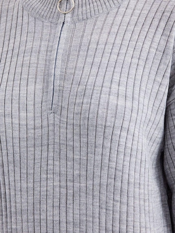 Bigdart Gebreide jurk in Grijs