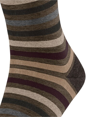 FALKE Socks 'Tinted Stripe' in Green