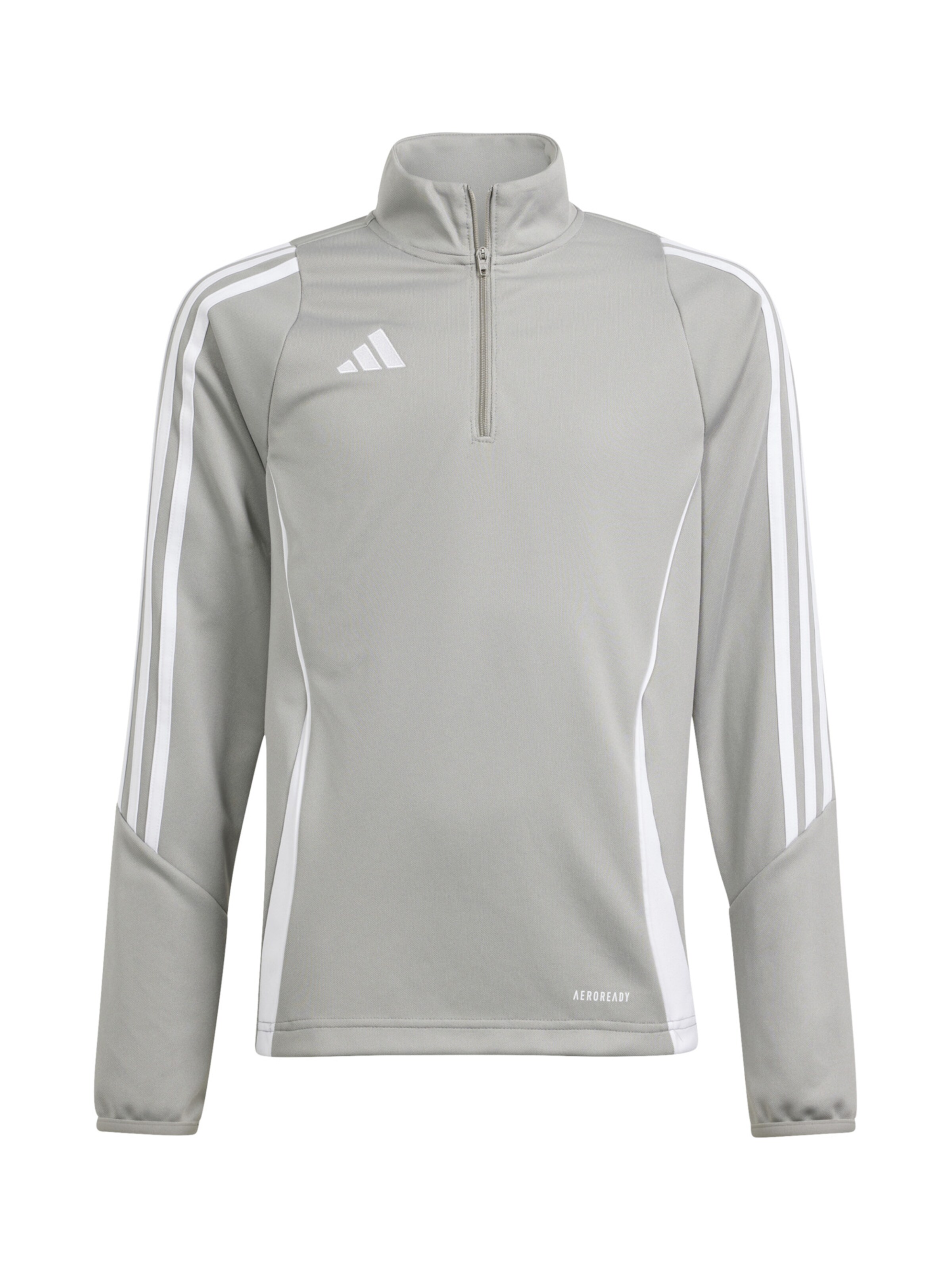 ADIDAS PERFORMANCE Sportsweatshirt 'Tiro 24' in Grau: Vorderseite