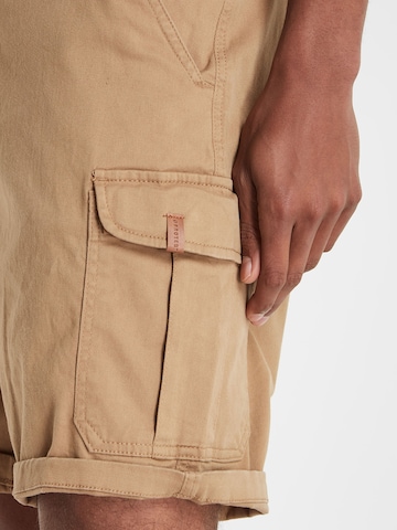 PROTEST Regular Trousers 'PRTNYTRO' in Brown