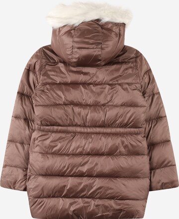 Abercrombie & Fitch Jacke in Braun