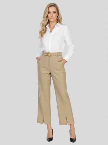 regular Pantaloni di LapaPlus in verde