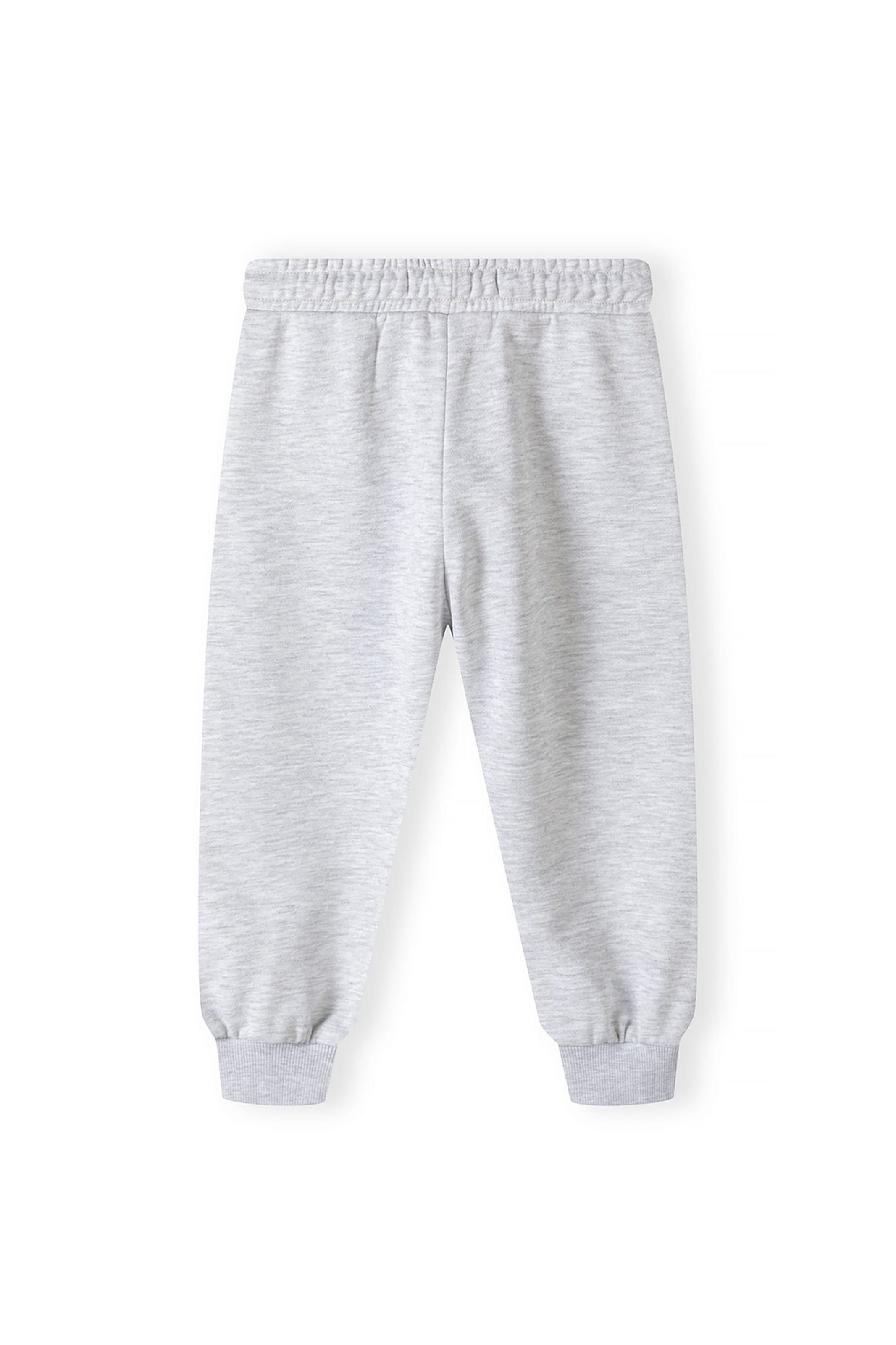 Tapered Pantaloni di MINOTI in grigio