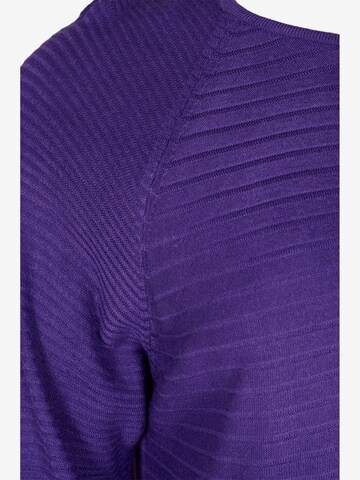 Zizzi Sweater 'Amelia' in Purple