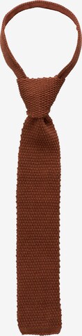 ETERNA Tie in Brown: front