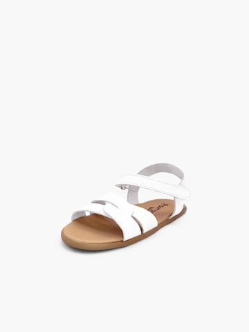 Pisamonas Sandal in White: front