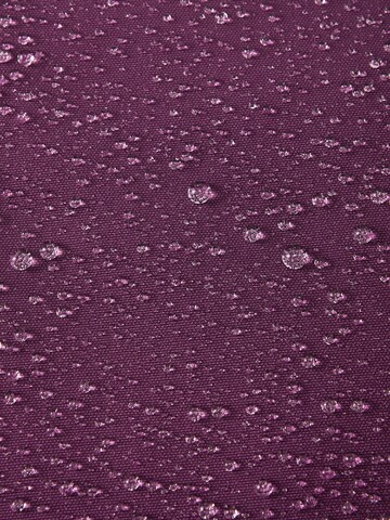 Reima Regular Outdoor trousers 'Loikin' in Purple