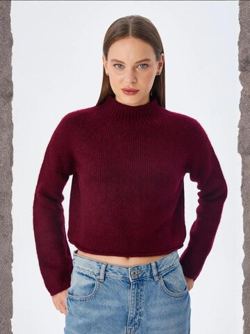 MixRay Sweater 'Pullover' in Red: front