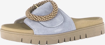 Zoccoletto di GABOR in blu: frontale