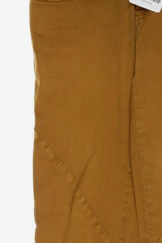Miss Sixty Jeans in 27 in Brown