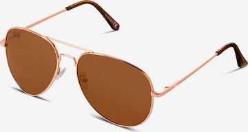 TWIG Concept Milano Sunglasses 'Pennac' in Brown: front