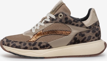 Sneaker bassa 'Suvi 02' di Floris van Bommel in beige: frontale