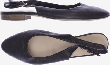 Donna Carolina Sandals & High-Heeled Sandals in 38,5 in Black: front