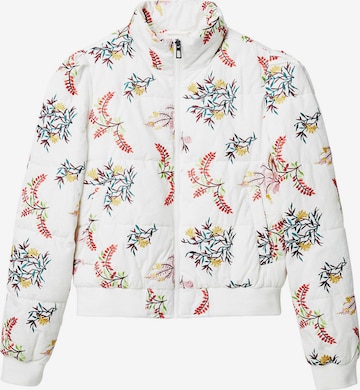 Die Top Produkte - Wählen Sie hier die Desigual Übergangsjacke entsprechend Ihrer Wünsche
