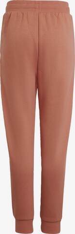 Effilé Pantalon 'Adicolor' ADIDAS ORIGINALS en marron