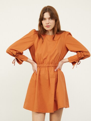 Robe 'Carly' Aligne en marron : devant