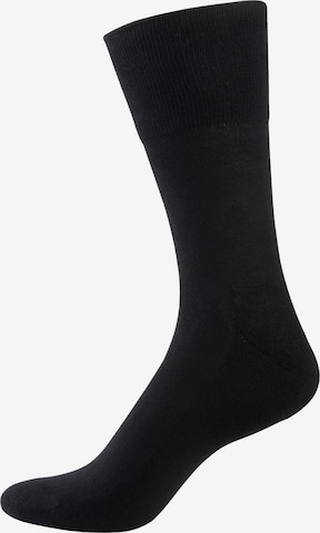 Nur Der Socken 'Aktiv' in Schwarz