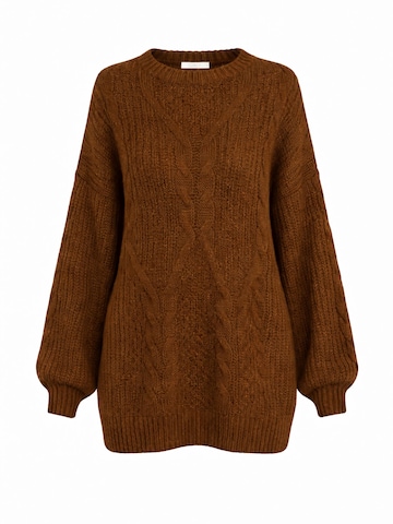 Worldclassca Sweater in Brown: front