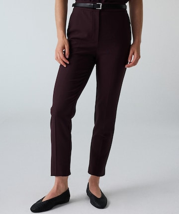 Ipekyol Regular Broek in Bruin