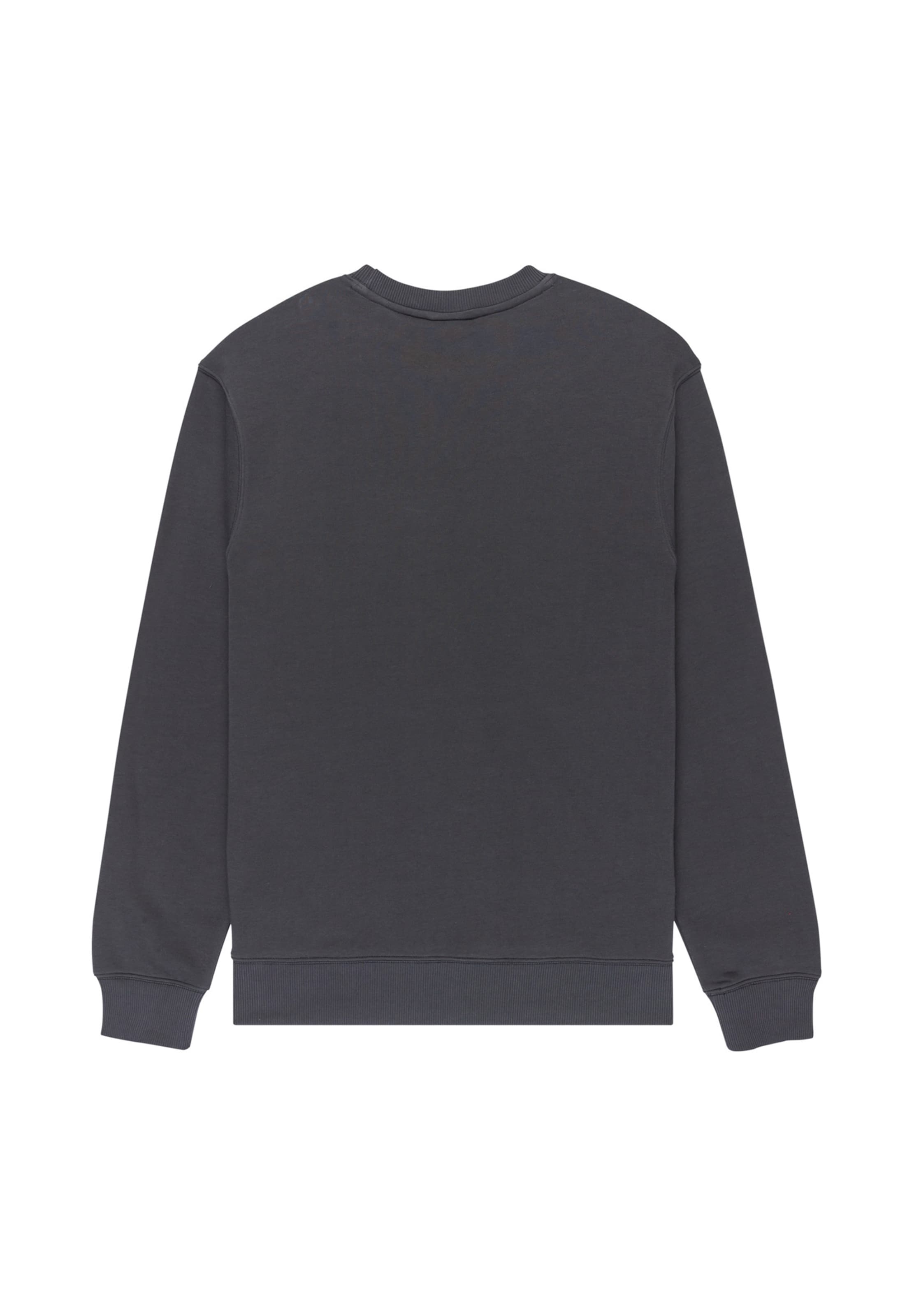 ELEMENT Sweatshirt 'HOME TEAM' i grå