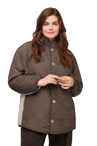 Ulla Popken Between-Season Jacket in Brown: front