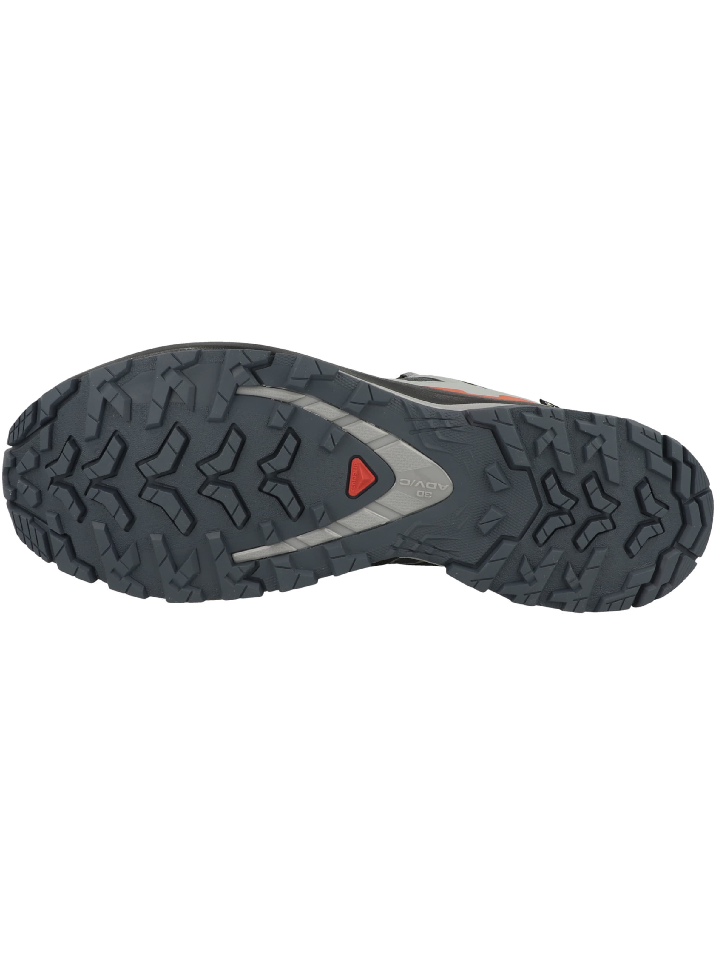 Chaussure de course 'XA PRO 3D V9' SALOMON en gris