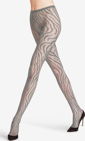 FALKE Tights 'Zebra' in Grey: front
