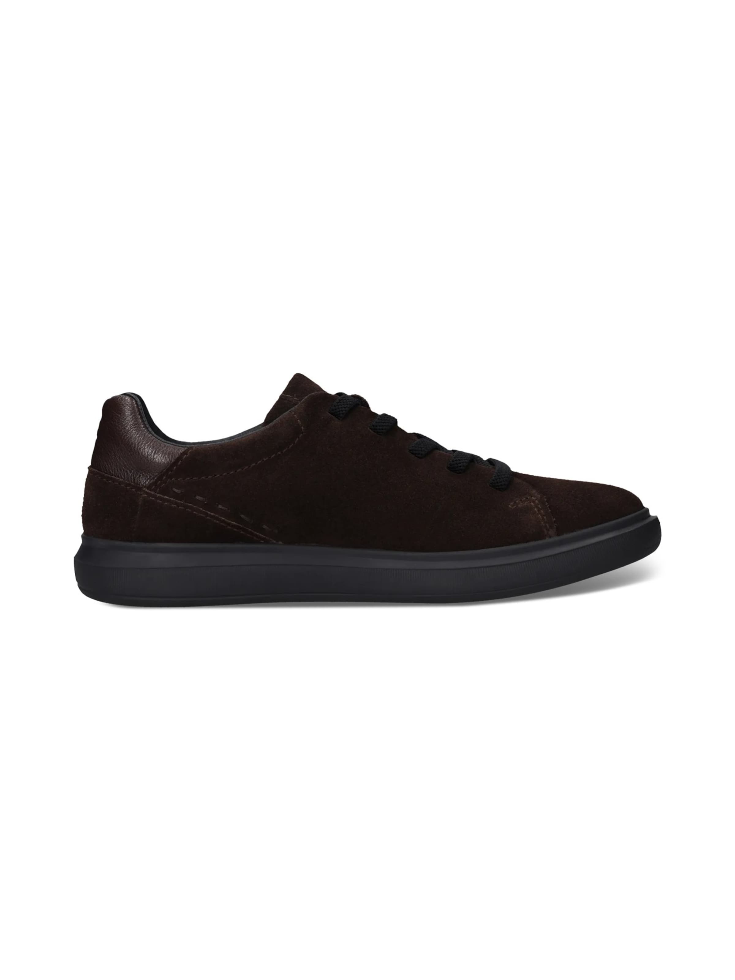 SALAMANDER - Zapatillas deportivas bajas en marrón