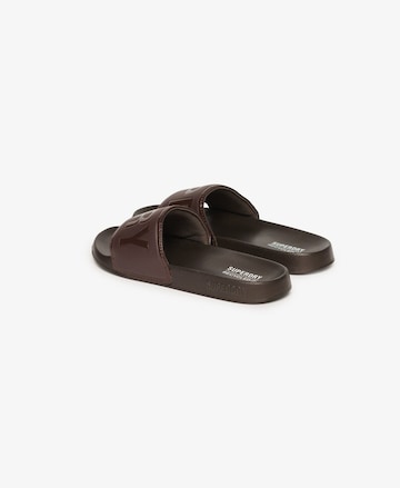 Claquettes / Tongs Superdry en marron