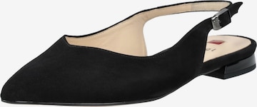 Ballerines 'Mona' Högl en noir : devant