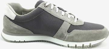 Pius Gabor Sneakers in Blue