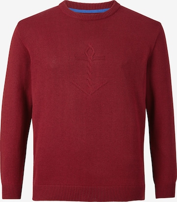 Jan Vanderstorm Pullover ' Olle ' in Rot: predná strana