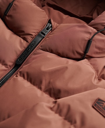 Veste d’hiver Superdry en marron
