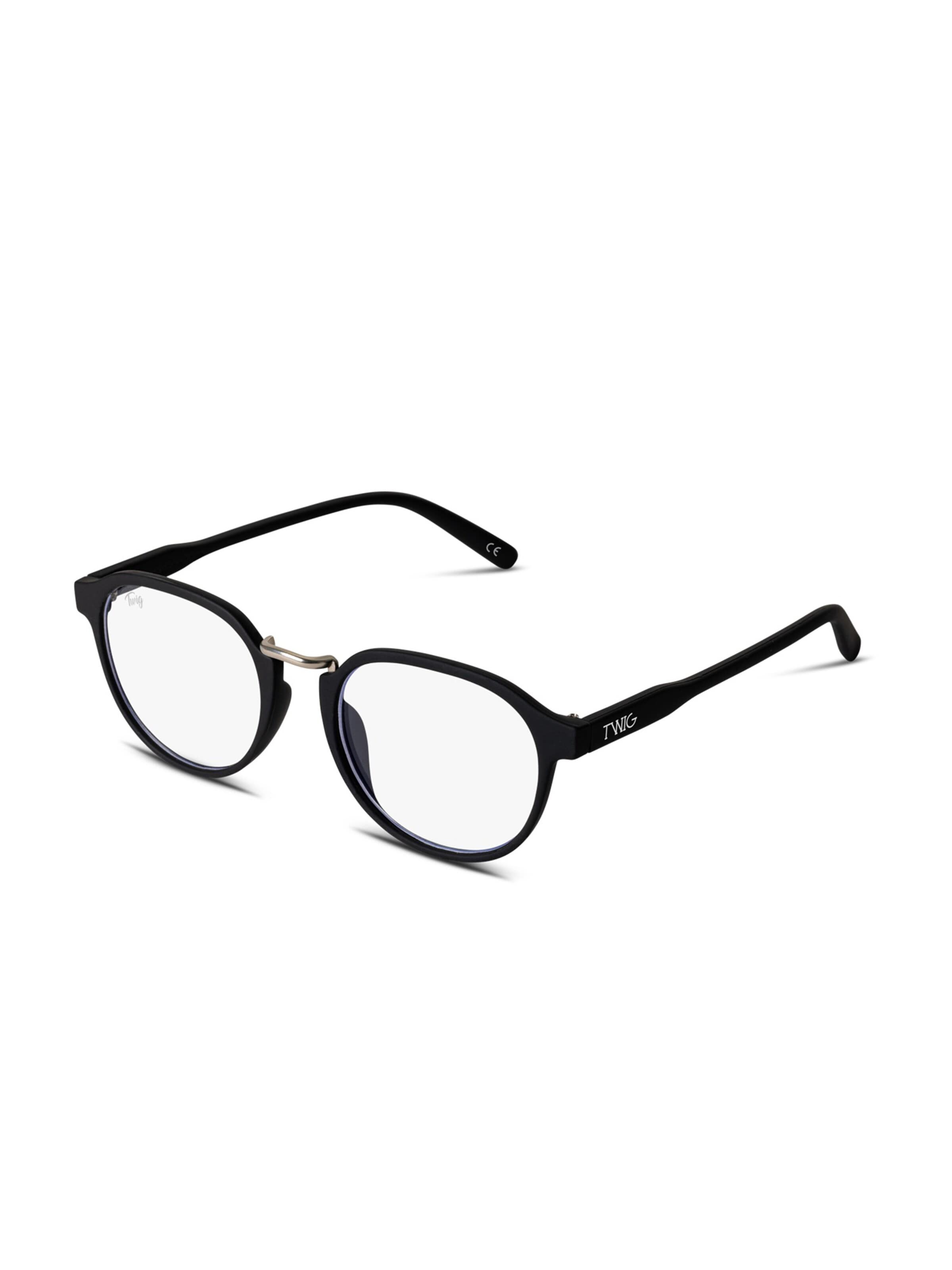 Lunettes 'Redon' TWIG Concept Milano en noir : devant