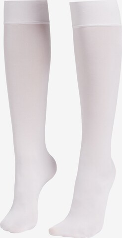 CALZEDONIA Knee High Socks in White: front