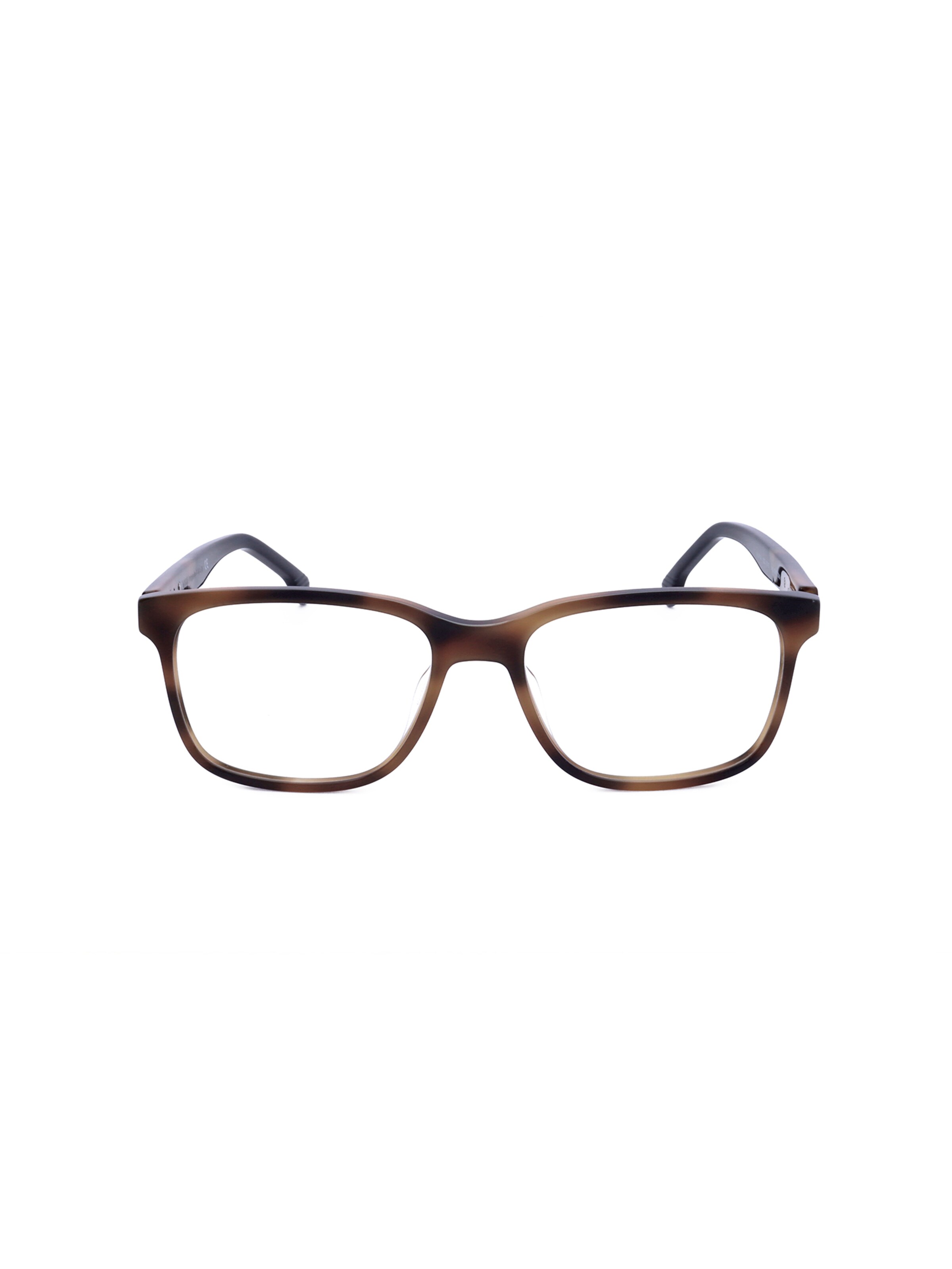 Occhiali 'VL4174' di LOZZA in marrone: frontale