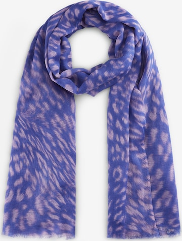 CODELLO Scarf in Blue