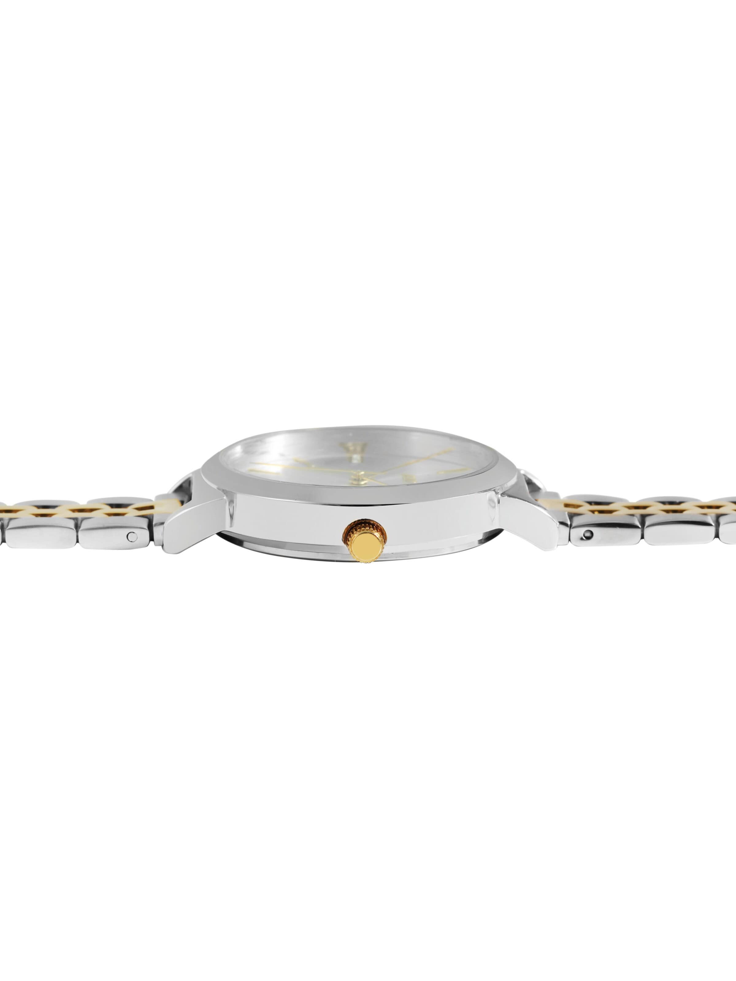 Raptor Analog Watch 'Fleur, 3 ATM' in Mixed colors