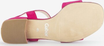 GABOR Strap Sandals in Pink