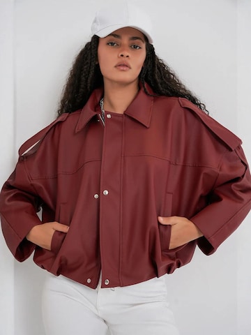 Veste d’hiver 'Jacken' Bigdart en rouge