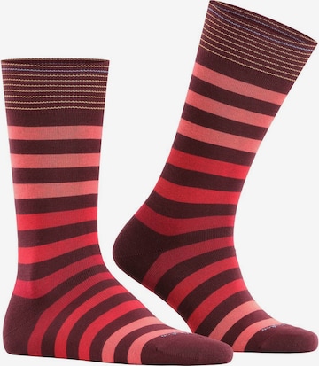 BURLINGTON Socks in Red