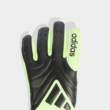 ADIDAS PERFORMANCE Athletic Gloves in Black