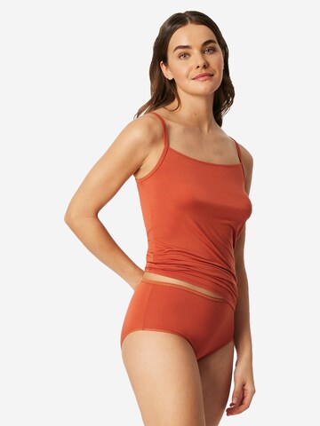 SCHIESSER Slip 'Modal Essentials' in Orange